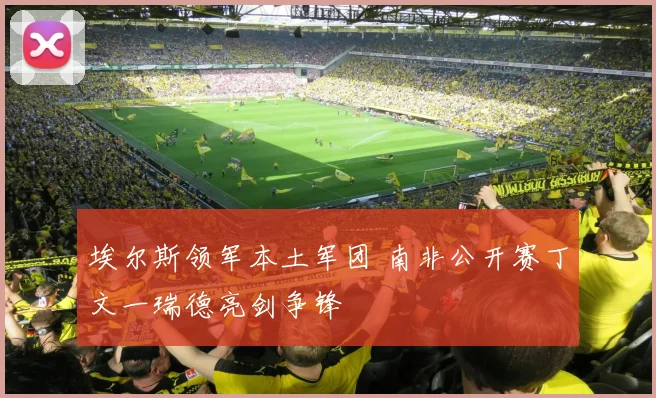 埃尔斯领军本土军团 南非公开赛丁文一瑞德亮剑争锋